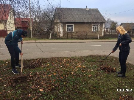 Волонтёрское движение