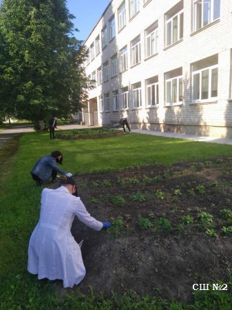 Временная трудовая занятость учащейся молодёжи в летний период