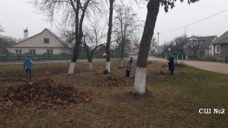 Волонтёры на уборке сквера от опавшей листвы