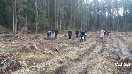 Cтуденческий экологический отряд