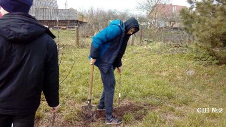 "Сад надежды"