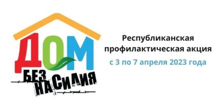 Профилактическая акция «Дом без насилия»